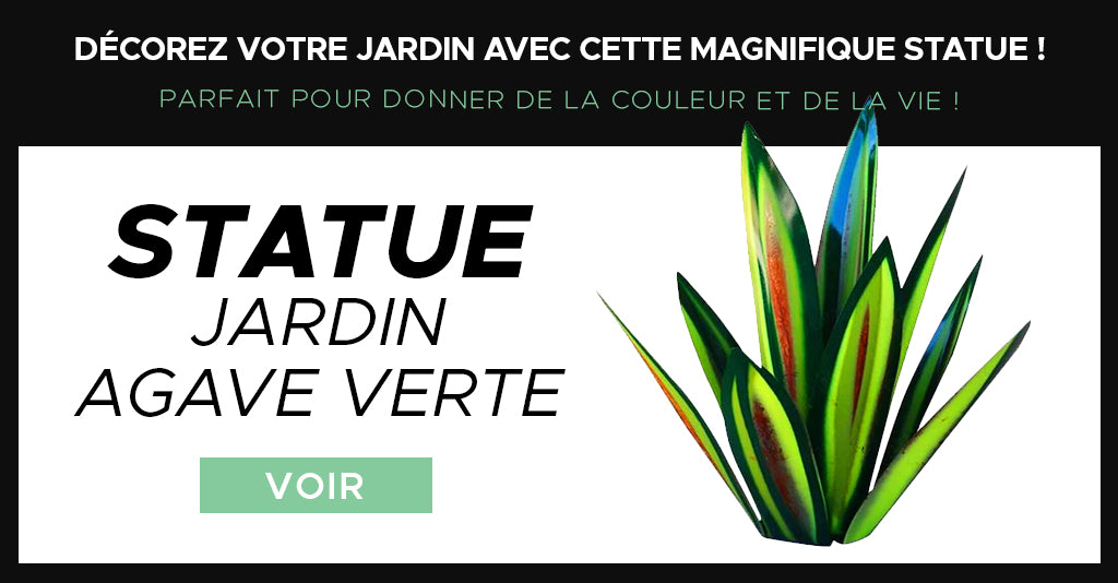 Statue Jardin plante Agave Verte