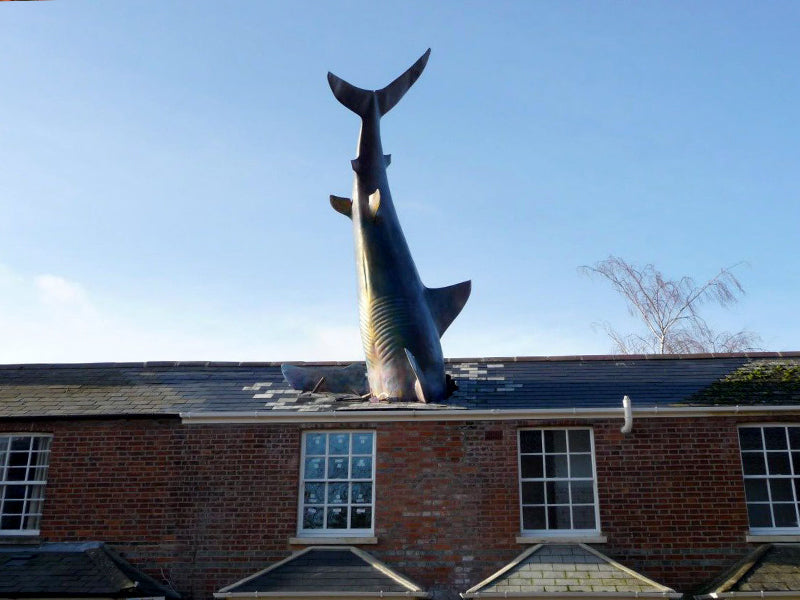 Statue Requin de Headingon