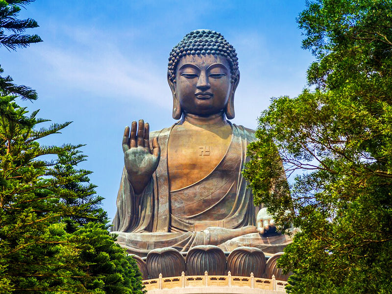 Statue bouddha forêt