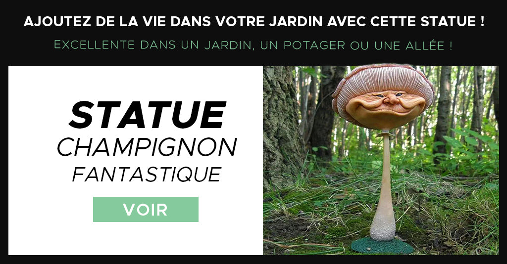 Statue champignon avec visage décoration