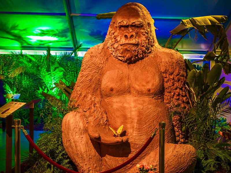 Statue chocolat gorille géant