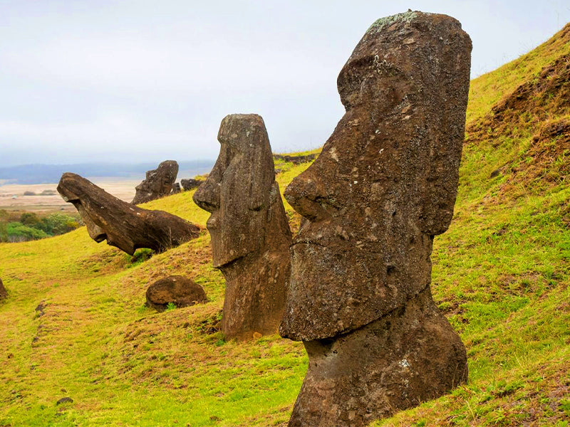 Statue de Moaï île de pâques