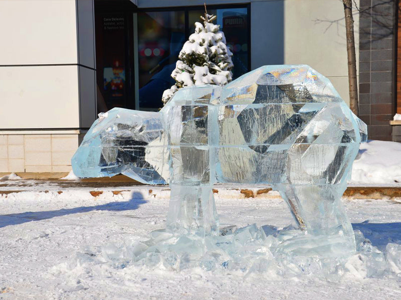 statue d'ours polaire en glace