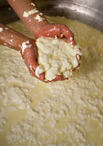lavorazione formaggi sardi
