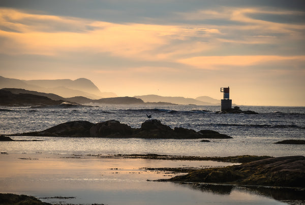 About Fogo Island art and art galleries