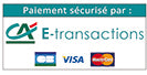 Paypal Visa payment method