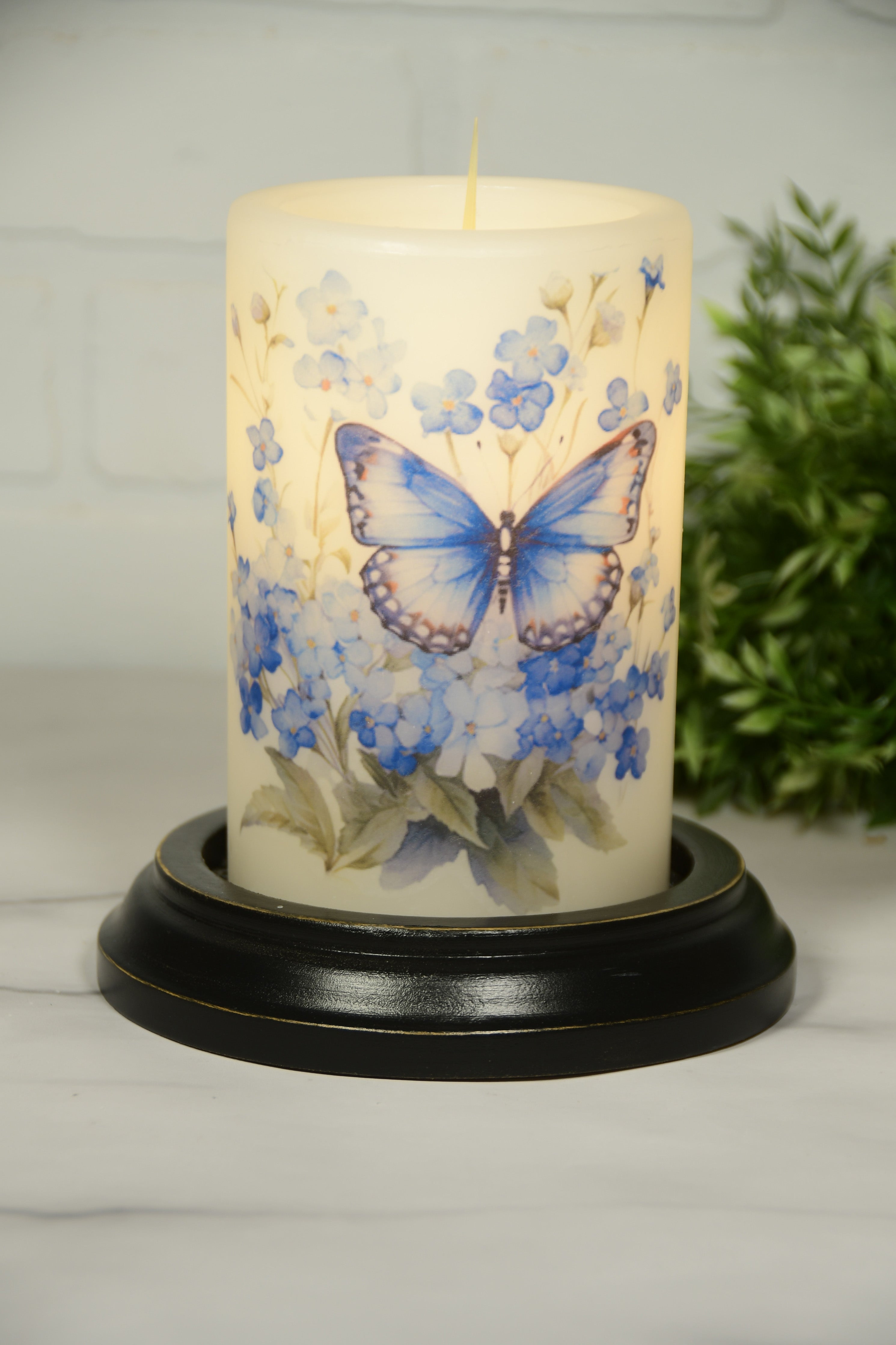 Forget Me Not Butterfly