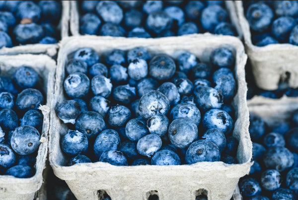 Blueberries packed in cardboard boxes
