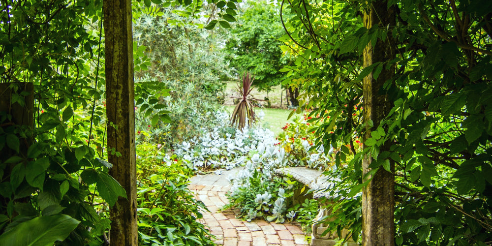 庭のイメージ画像