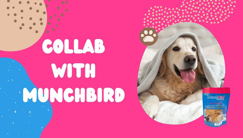 Munchbird Partnership and Collaboration Program