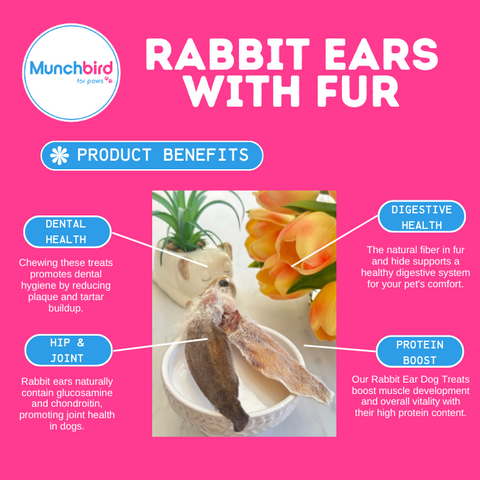 Next Level Dog Food and Treats: Exotic Alternative Proteins Glucosamine Chews for Dogs, Munchbird Rabbit Ear with Fur Dog Treats, Rabbit Ears for Dogs, rabbit feet dog treat