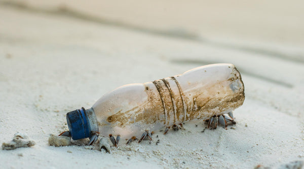 botellas de plastico