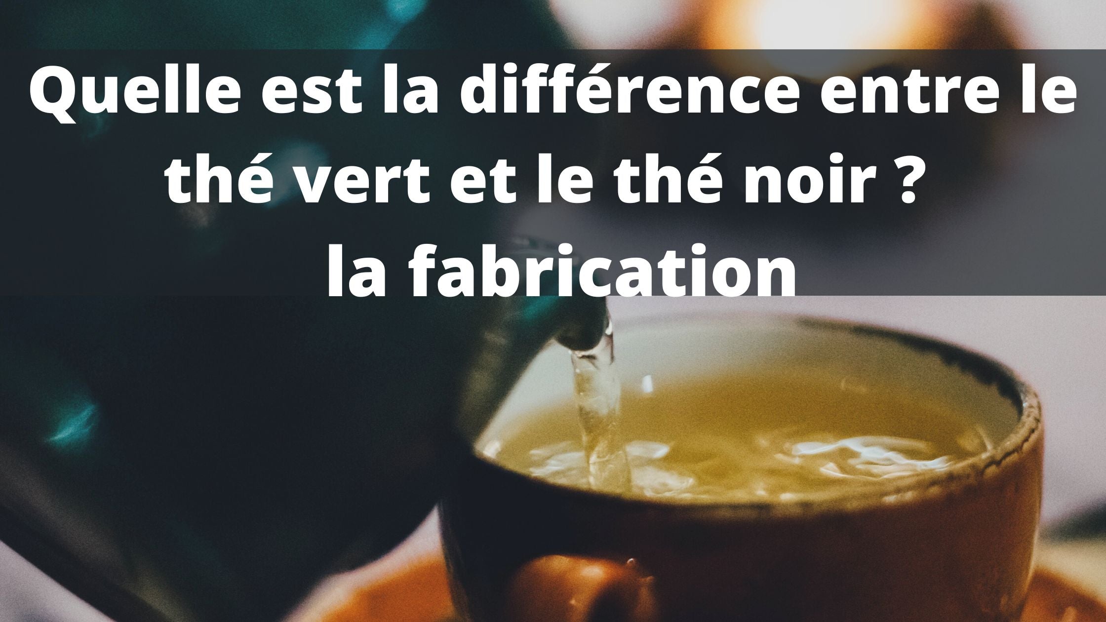 Quelles différences entre le thé vert et le thé noir ?