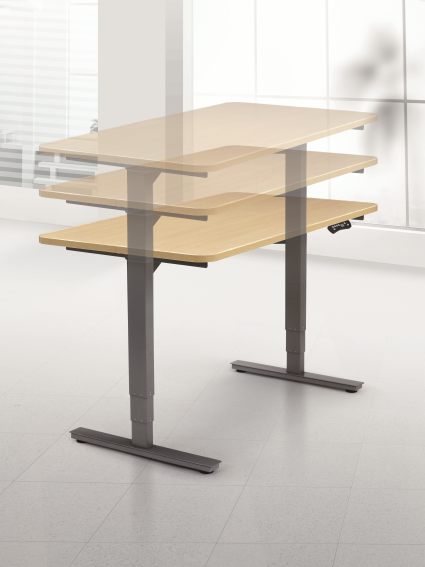 rise-up-electric-adjustable-height-sit-stand-ergonomic-office-desk-small-.png