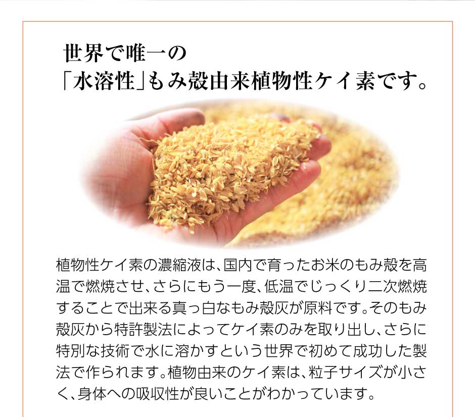 Rice Silica PREMIUM 500ml ×1本 （ライスシリカプレミアム） – 東和 