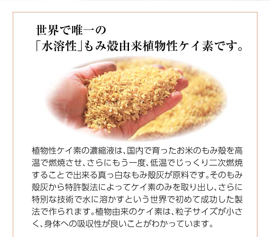 Rice Silica PREMIUM 500ml ×1本 （ライスシリカプレミアム） – 東和