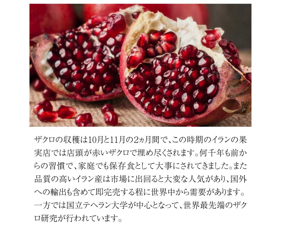 東和バイオ　nini Pomegranate Extract ザクロエキス