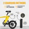Portable Folding Electric Bike for Adults 250W