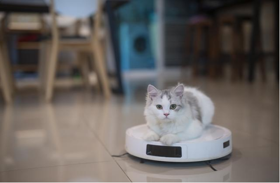 pet hair vacuum robot