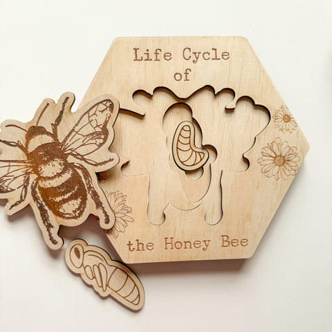 Bee Life Cycle Puzzle-Bandicute