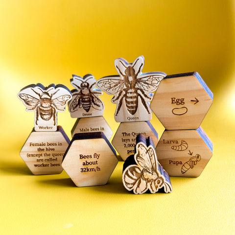 Bee Stacking Set-Bandicute