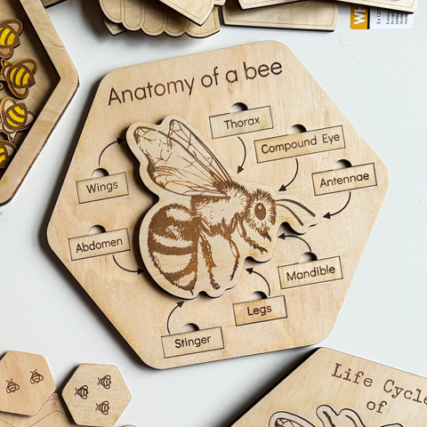 Anatomy of a Bee Puzzle-Bandicute