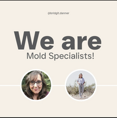 we offer private mold coaching