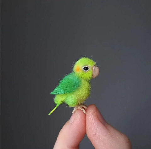 【Mother's Day Sale - 50% OFF】Needle Felting Miniature Bird Kit – ModernMint