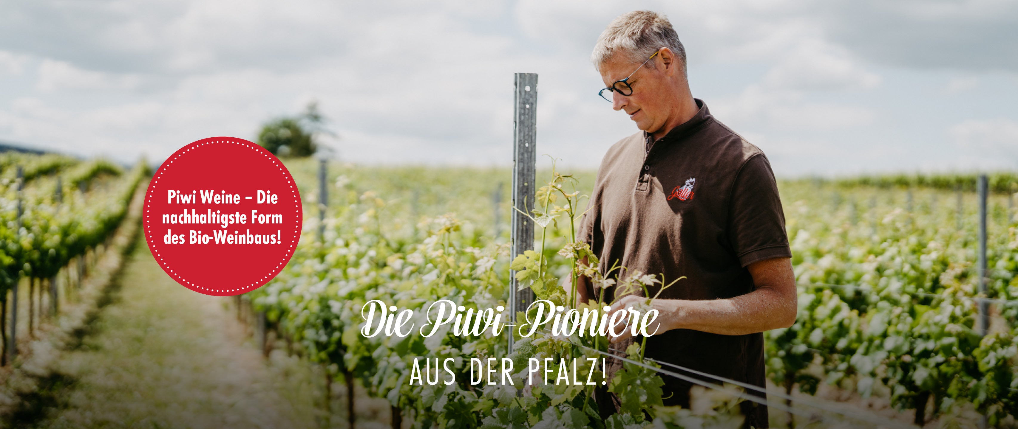 Weingut Galler - Die Piwi-Pioniere aus der Pfalz