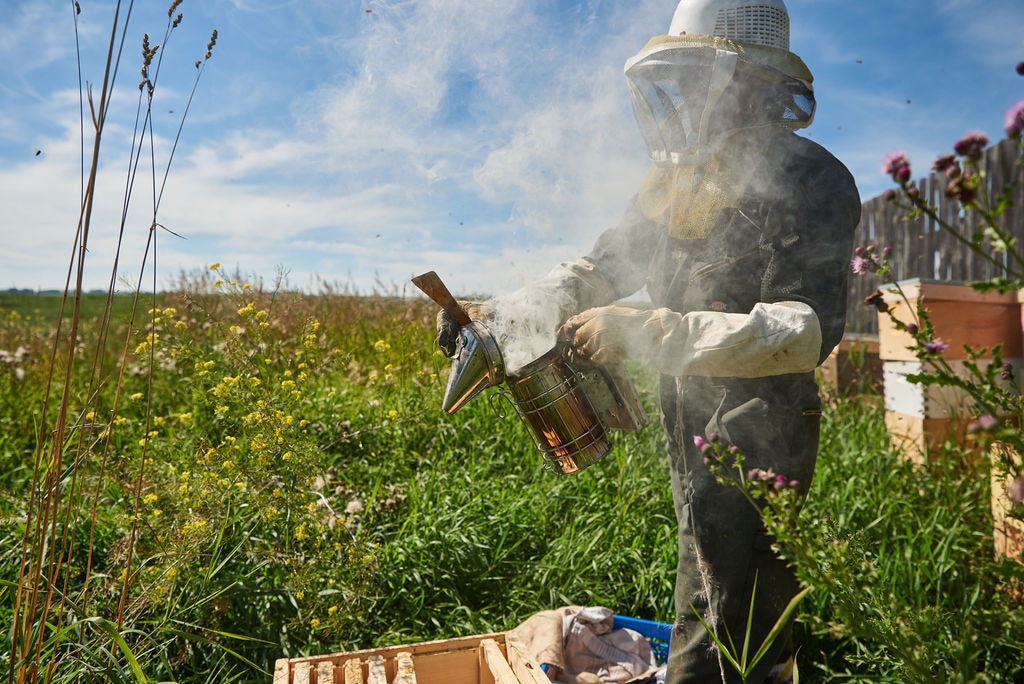 Beekeeping duties