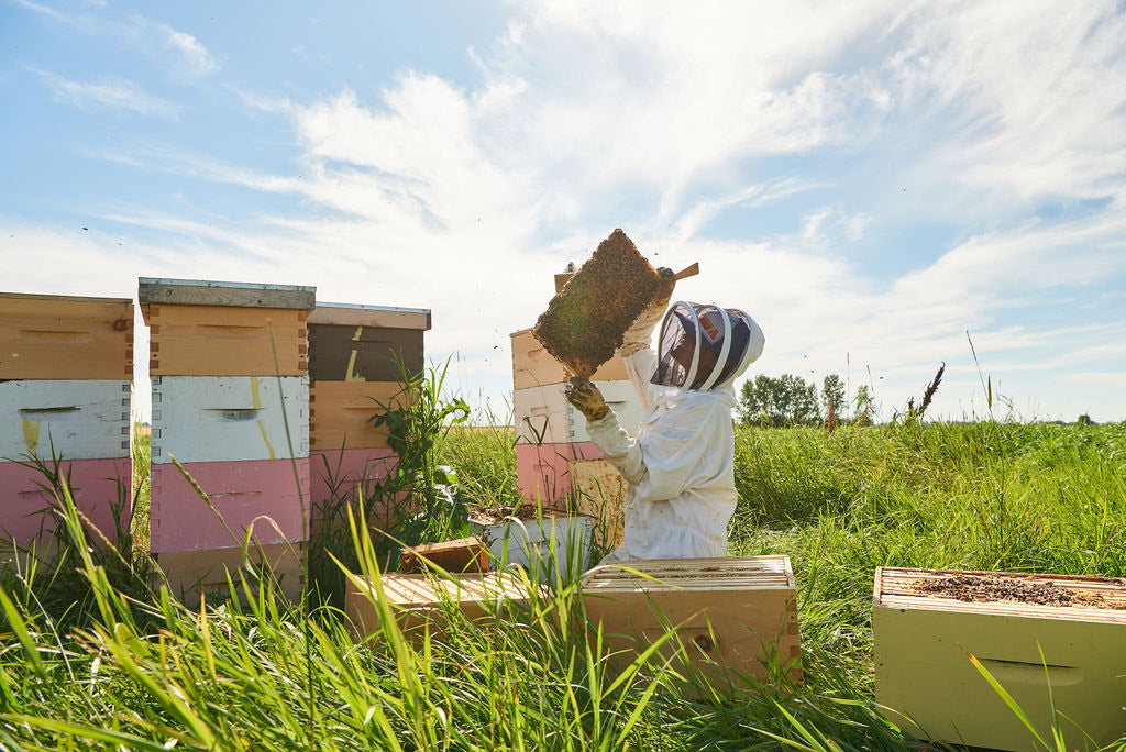 Amber Yano with her bees on Lazy Lilac Acres