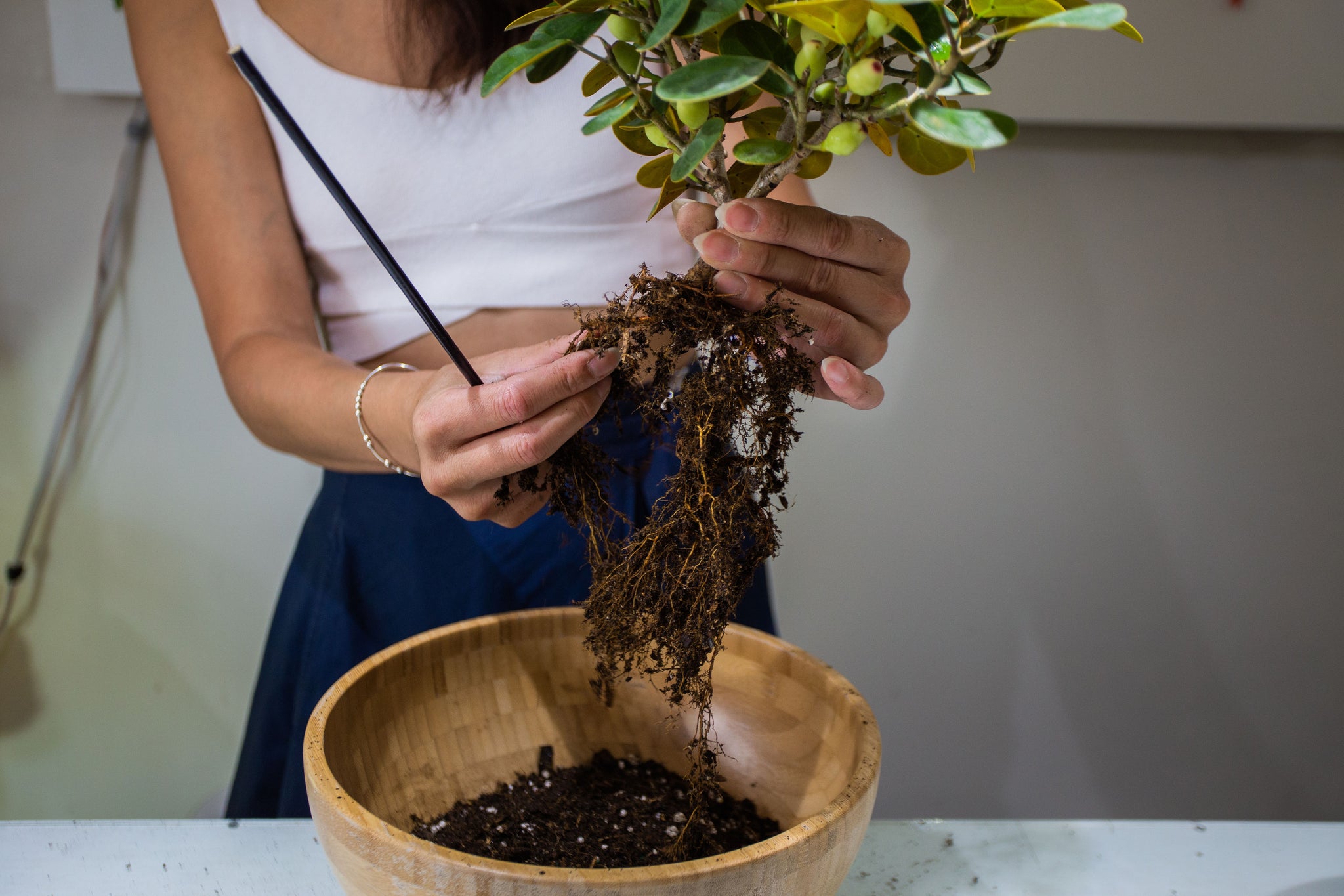 Cece removing old soil from plant roots