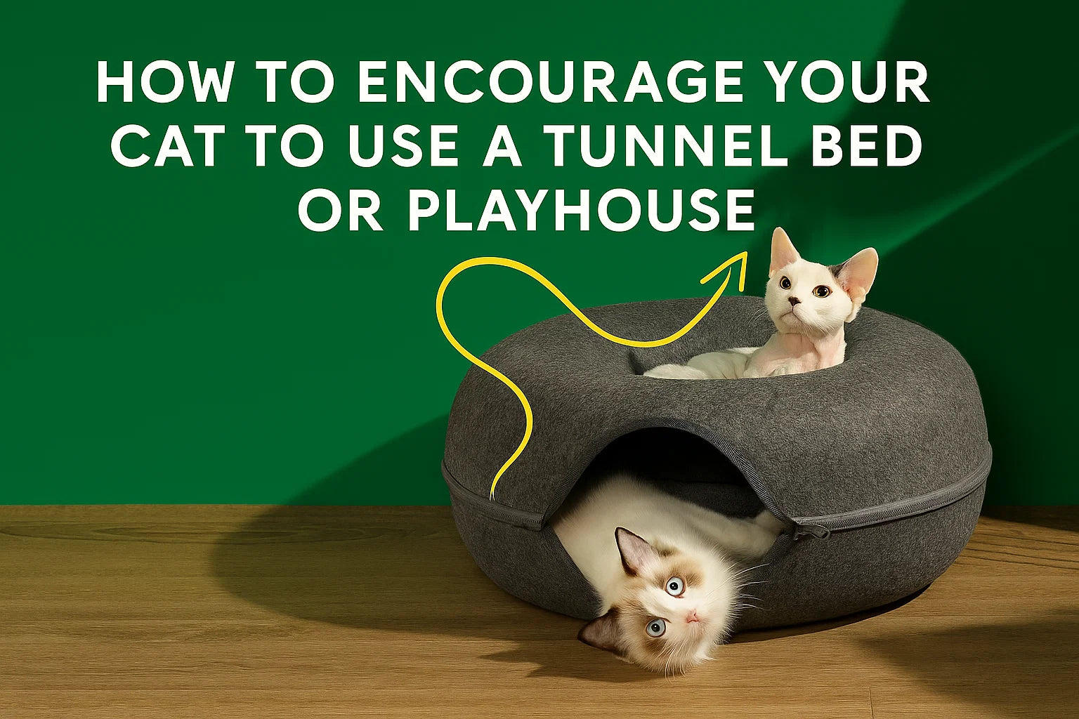 cat tunnel bed