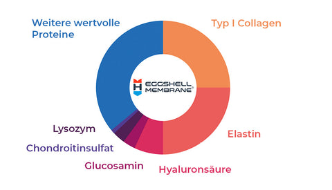 Eggshell Membrane Composition