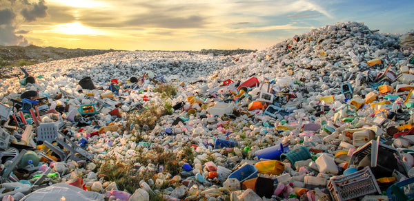 Plastic Landfill And The Recycling Challenge