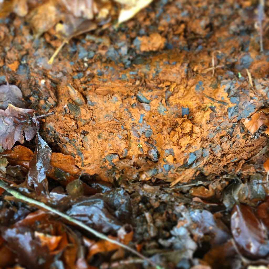 London Ochre Pigment