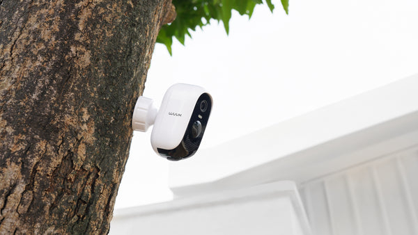 WUUK wireless outdoor camera installed on the tree