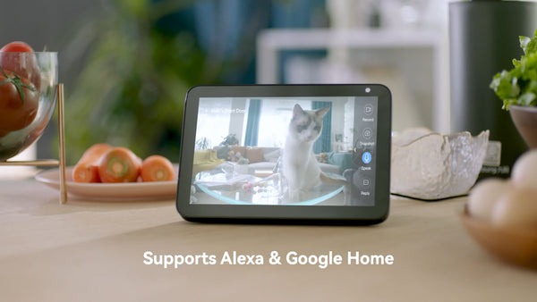 View your home security camera by Google Home & Alexa