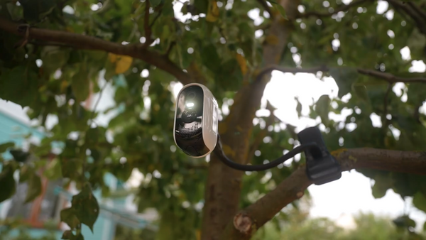 outdoor camera on the tree