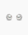 18k White Gold Freshwater Pearl and Diamond Stud Earrings