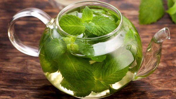 Mint leaves in a Glass kettle 