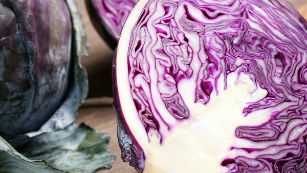 nourish-cooking-vegan-food-delivery-organic-cabbage-red-sliced-houston-texas-cg