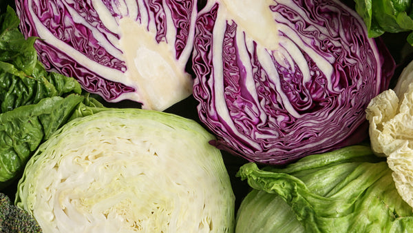 nourish-cooking-vegan-food-delivery-organic-sliced-cabbage-red-green-houston-texas-cg