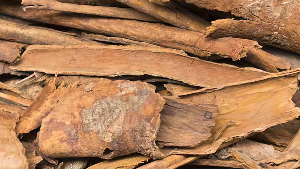 nourish-vegan-food-delivery-catering-houston-cinnamon-health-benefits-tree-bark
