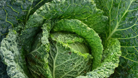 nourish-vegan-food-delivery-catering-houston-health-benefits-kale-organic