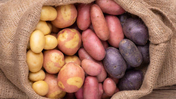 nourish-vegan-food-delivery-catering-houston-health-potato-color-cg