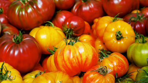 nourish-vegan-food-delivery-catering-houston-tomato-health-benefits