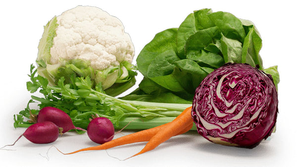 nourish-vegan-food-delivery-houston-organic-vegetable-cancer-survivor-cg