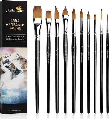 Golden Maple Watercolour Travel Paint Brushes, 3PCS Round Pointed Tip –  artgoldenmaple
