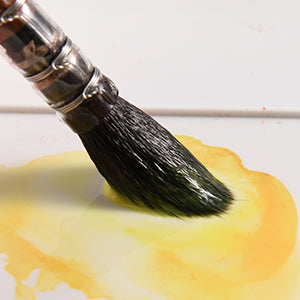 Golden Maple Professional Watercolor Squirrel Mop Paint Brush (squirre –  artgoldenmaple